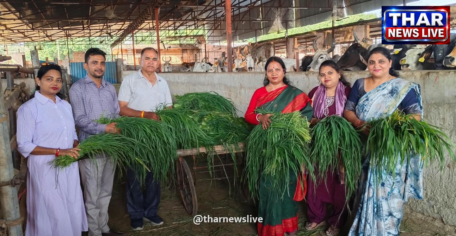 गौशाला पहुंचा सारथी परिवार, गौ सेवा के जरिए दिया मानवता और संवेदना का संदेश