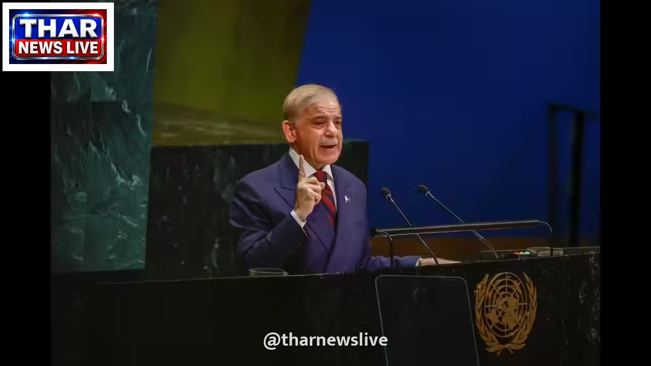संयुक्त राष्ट्र में शहबाज शरीफ के भाषण पर भारतीय राजनयिक की प्रतिक्रिया हुई वायरल