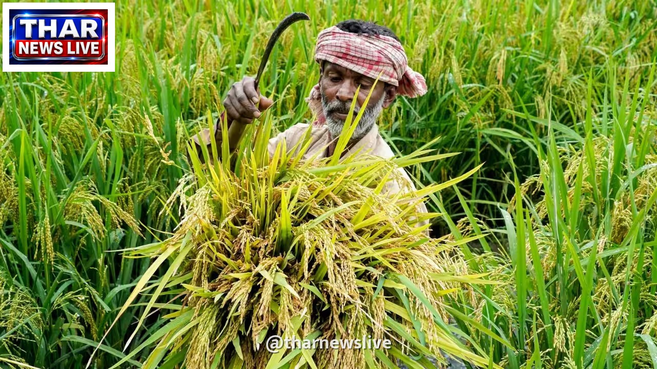 रबी फसलों को सूखे के संकट से बचाने के लिए केंद्र सरकार ने कसी कमर