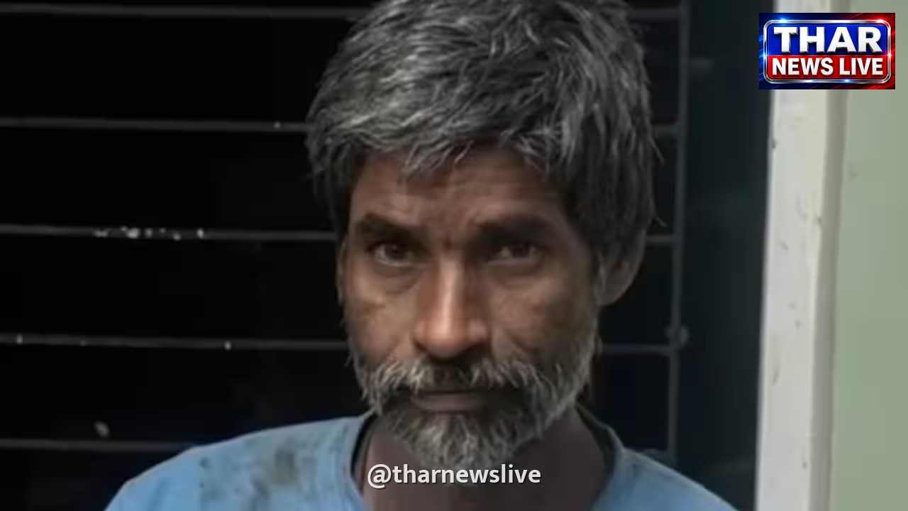 मुंबई में 'सीरियल कैट किलर' गिरफ्तार: 6 से ज्यादा बिल्लियों की हत्या का आरोपी