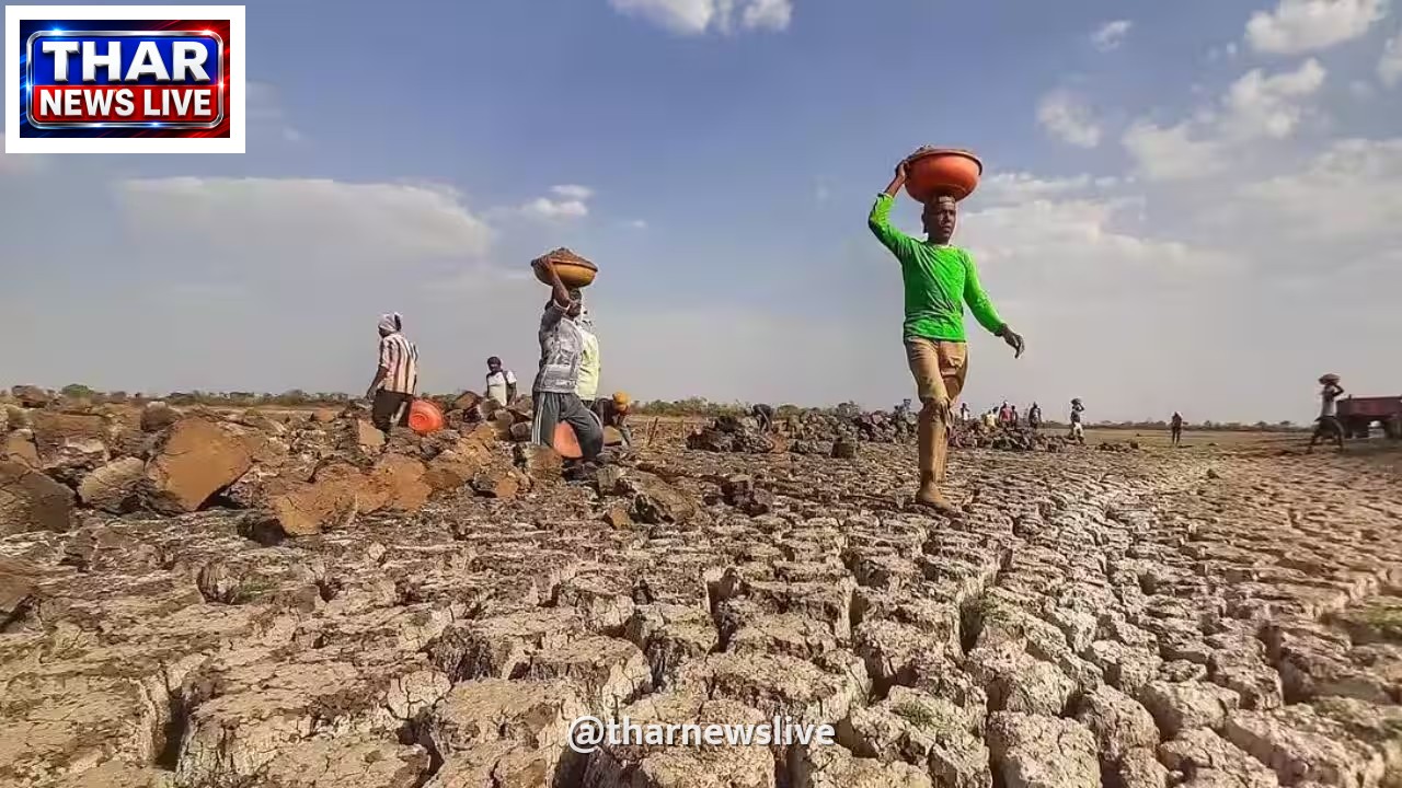 महाराष्ट्र में एक दशक का सबसे बड़ा सूखा: विदर्भ और मराठवाड़ा में 64 प्रतिशत प्रभावित तालुका