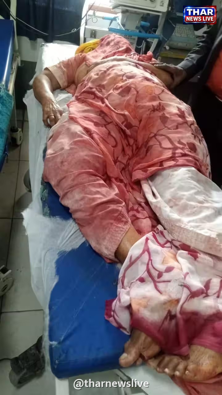 भरतपुर में बंदरों का आतंक: दीवार गिरने से महिला की दर्दनाक मौत, 7 लोग गंभीर रूप से घायल