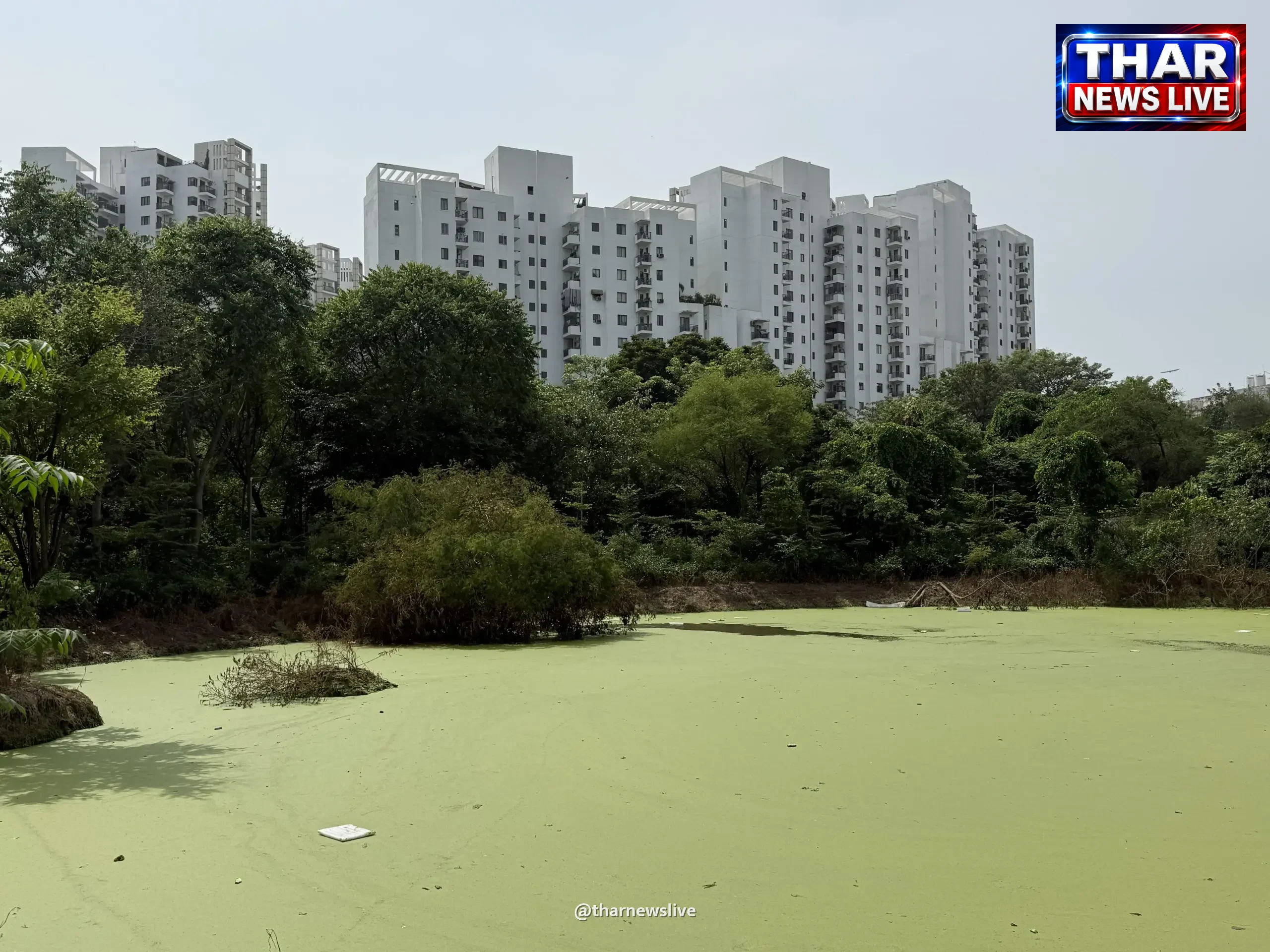 गुरुग्राम: जल निकायों पर अतिक्रमण पर NGT सख्त, झुग्गियों और मंदिर को हटाने के दिए आदेश